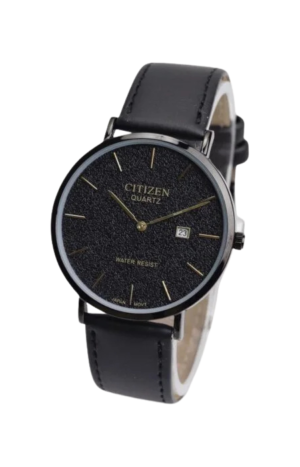 Citizen Watch WR 100