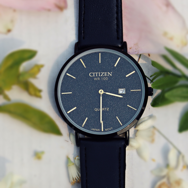 Citizen Watch WR 100