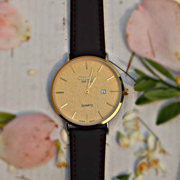 Citizen Watch WR 100